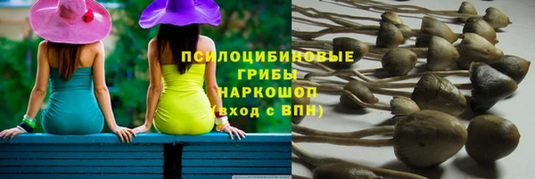 СК Белокуриха